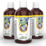 3 x B&M Nanowir liposomalna zawiesina płyn 100ml Botanical & Medicinal Research