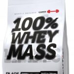Odżywka białkowa Blade Series Hi Tec 100%Whey Mass 3000g
