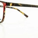 Charmossas Moheli Brrd R.53 `22 Ii
