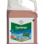 Fandango 200 Ec 5L Grzybobójczy Zboża