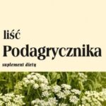 Flos Podagrycznik Liść 100G