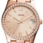 Fossil Es4318