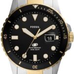 Fossil – (Fs5951)
