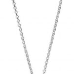 Fossil Jewellery JFS00497040