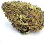 Kraina Konopi Susz Konopny Cbd Blueberry 5G