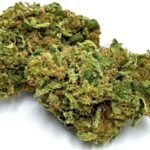Kraina Konopi Susz Konopny Cbd Lemon Haze 5G