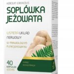 Medica Herbs Hericium 600Mg 45Kaps.