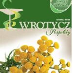 Na straży zdrowia – Wrotycz Pospolity