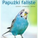 Papużki faliste. Hodowla