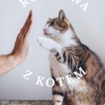 Rozmowa z kotem