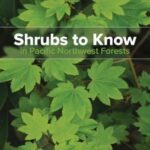 Shrubs to Know in Pacific Northwest Forests