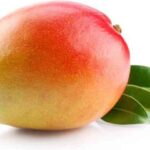 Świeże Opakowanie Zbiorcze Szt Mango Bio Około 7 Sztuk