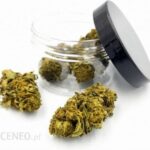 Vitalweed Susz Konopny Amnesia Haze Premium Cbd