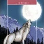 White Fang Workbook, poziom 2