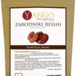 Yango Reishi Zarodniki 100g